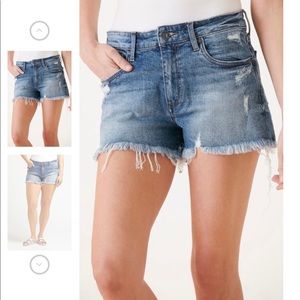 KUT from the Kloth Jane Shorts